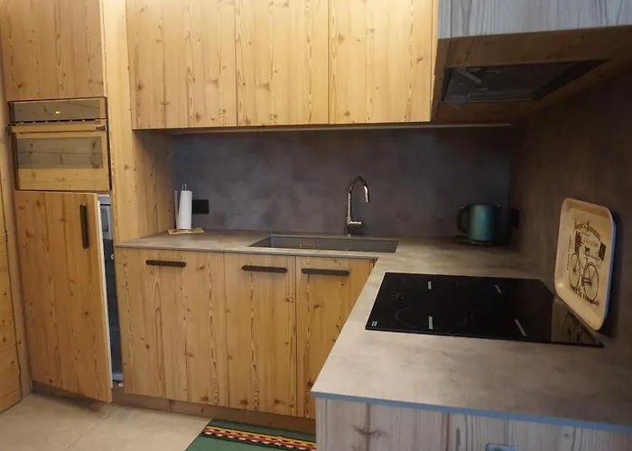 - Adri Apartment, Facing The Stelvio Slope Bormio